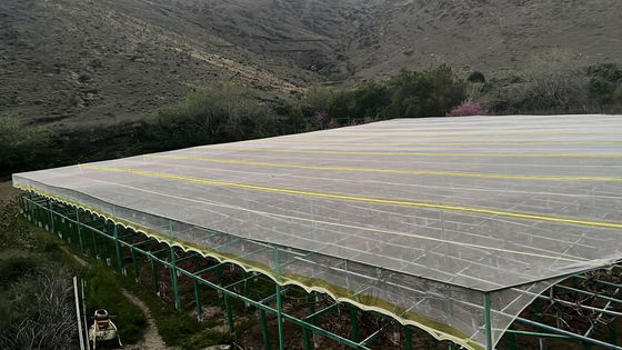 एचडीपीई यूवी उपचारित कीट प्रतिरोधी कृषि जाल आंसू प्रतिरोध प्रदान करता है